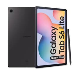 Galaxy Tab S6 Lite (2024) (2024)