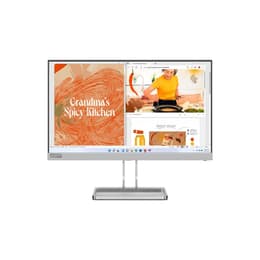 Lenovo 21-inch Monitor 1920 x 1080 LCD (L22i-40)