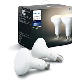 Philips Hue Hue BR30 lighting