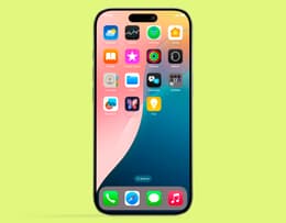 The full iPhone 17 range displayed.